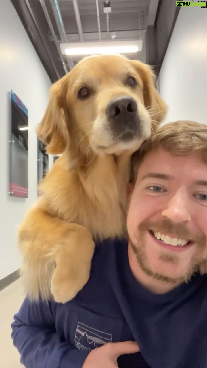 Jimmy Donaldson - 9.3 Million Likes - I’ve never seen a dog do this before 😂