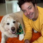 Jimmy Fallon Instagram - Erin go Bark! ☘️🍀 Gary was about to pinch me until I showed her my watch band. ☘️ 🍀☘️Happy St. Patrick’s Day!