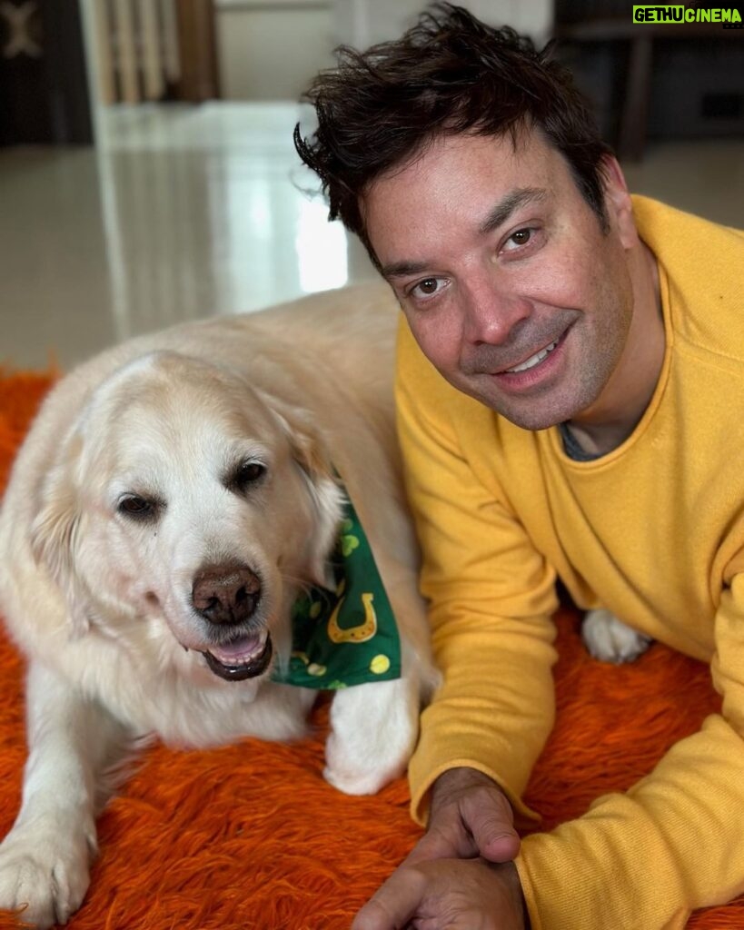 Jimmy Fallon Instagram - Erin go Bark! ☘️🍀 Gary was about to pinch me until I showed her my watch band. ☘️ 🍀☘️Happy St. Patrick’s Day!