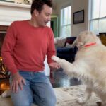 Jimmy Fallon Instagram - My dog only does one take. (It’s in her contract.) See you this Tuesday at 10/9c on @nbc next day on @peacock. #ThatsMyJam
