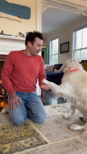 Jimmy Fallon Instagram - My dog only does one take. (It’s in her contract.) See you this Tuesday at 10/9c on @nbc next day on @peacock. #ThatsMyJam
