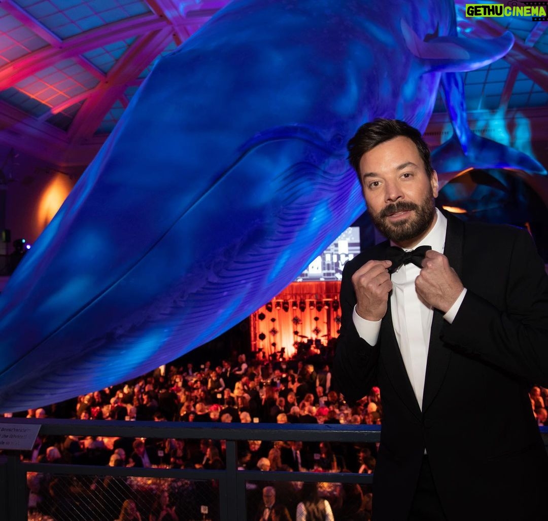 Jimmy Fallon Instagram - Happy to see there really was a 10 ton whale there. I thought the edibles were kicking in. #amnhgala American Museum of Natural History