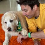 Jimmy Fallon Instagram - Erin go Bark! ☘️🍀 Gary was about to pinch me until I showed her my watch band. ☘️ 🍀☘️Happy St. Patrick’s Day!