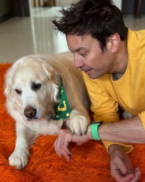 Jimmy Fallon Instagram - Erin go Bark! ☘️🍀 Gary was about to pinch me until I showed her my watch band. ☘️ 🍀☘️Happy St. Patrick’s Day!