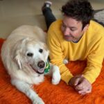 Jimmy Fallon Instagram - Erin go Bark! ☘️🍀 Gary was about to pinch me until I showed her my watch band. ☘️ 🍀☘️Happy St. Patrick’s Day!