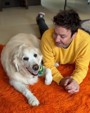 Jimmy Fallon Instagram - Erin go Bark! ☘️🍀 Gary was about to pinch me until I showed her my watch band. ☘️ 🍀☘️Happy St. Patrick’s Day!