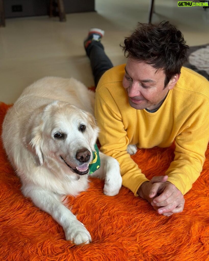 Jimmy Fallon Instagram - Erin go Bark! ☘🍀 Gary was about to pinch me until I showed her my watch band. ☘ 🍀☘Happy St. Patrick’s Day!