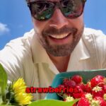 Jimmy Fallon Instagram - Strawberries. 🍓🍓🍓
