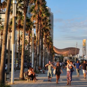 Joana Alvarenga Instagram - Barcelonetaaaaa 🌴🐚🐠🥂☀️
Parte 2 das vacationes 😘
.
#barcelona #barceloneta #barcelonetabeach #vacaciones #palmtrees