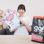 Joanne Missingham Instagram - 有在收看嘉嘉老師GO的同學們一定都對我們的貓老闆Bubu不陌生～別看Bubu現在可以擋住半個棋盤的胖胖身軀，其實之前也是營養不良的浪浪，直到有一天被同事抱回辦公室細心餵食與照顧，才開啟Bubu的貓老闆之路～🐈 毛小孩要獲得足夠的營養，才能擁有健康的毛皮與100分的肉球～ 這次受邀參與 @sofydog_ig 所舉辦的【#go浪毛孩都有100分肉球】創作者公益聯名活動Sofydog聯名捐贈給浪浪單位的飼料都是 @gosolutions.tw 的 go! 全方位天然糧，他的特色是選用來自紐西蘭、加拿大、北美的鮮食級肉類，並調配出5大食譜，分別是低脂關節保健、腸胃保健、低致敏、高肉量、皮毛保健系列，來滿足毛小孩的各種需求～ 他們在美國寵物照護雜誌(WDJ)中也連年獲得推薦，並超過15年無召回紀錄，在飼料界方面可以說是安心首選～ 藉由這次的響應活動，想邀請大家跟我一起持續關注動物議題～希望所有流浪貓狗都可以找到牠們的新家，浪愛延續下去❤️ #go浪毛孩都有100分肉球 #創作者公益 #sofydog #蘇菲狗 #浪浪 #公益 #飼料 #go飼料