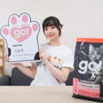 Joanne Missingham Instagram - 有在收看嘉嘉老師GO的同學們一定都對我們的貓老闆Bubu不陌生～別看Bubu現在可以擋住半個棋盤的胖胖身軀，其實之前也是營養不良的浪浪，直到有一天被同事抱回辦公室細心餵食與照顧，才開啟Bubu的貓老闆之路～🐈 毛小孩要獲得足夠的營養，才能擁有健康的毛皮與100分的肉球～ 這次受邀參與 @sofydog_ig 所舉辦的【#go浪毛孩都有100分肉球】創作者公益聯名活動Sofydog聯名捐贈給浪浪單位的飼料都是 @gosolutions.tw 的 go! 全方位天然糧，他的特色是選用來自紐西蘭、加拿大、北美的鮮食級肉類，並調配出5大食譜，分別是低脂關節保健、腸胃保健、低致敏、高肉量、皮毛保健系列，來滿足毛小孩的各種需求～ 他們在美國寵物照護雜誌(WDJ)中也連年獲得推薦，並超過15年無召回紀錄，在飼料界方面可以說是安心首選～ 藉由這次的響應活動，想邀請大家跟我一起持續關注動物議題～希望所有流浪貓狗都可以找到牠們的新家，浪愛延續下去❤️ #go浪毛孩都有100分肉球 #創作者公益 #sofydog #蘇菲狗 #浪浪 #公益 #飼料 #go飼料