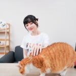 Joanne Missingham Instagram - 有在收看嘉嘉老師GO的同學們一定都對我們的貓老闆Bubu不陌生～別看Bubu現在可以擋住半個棋盤的胖胖身軀，其實之前也是營養不良的浪浪，直到有一天被同事抱回辦公室細心餵食與照顧，才開啟Bubu的貓老闆之路～🐈 毛小孩要獲得足夠的營養，才能擁有健康的毛皮與100分的肉球～ 這次受邀參與 @sofydog_ig 所舉辦的【#go浪毛孩都有100分肉球】創作者公益聯名活動Sofydog聯名捐贈給浪浪單位的飼料都是 @gosolutions.tw 的 go! 全方位天然糧，他的特色是選用來自紐西蘭、加拿大、北美的鮮食級肉類，並調配出5大食譜，分別是低脂關節保健、腸胃保健、低致敏、高肉量、皮毛保健系列，來滿足毛小孩的各種需求～ 他們在美國寵物照護雜誌(WDJ)中也連年獲得推薦，並超過15年無召回紀錄，在飼料界方面可以說是安心首選～ 藉由這次的響應活動，想邀請大家跟我一起持續關注動物議題～希望所有流浪貓狗都可以找到牠們的新家，浪愛延續下去❤️ #go浪毛孩都有100分肉球 #創作者公益 #sofydog #蘇菲狗 #浪浪 #公益 #飼料 #go飼料