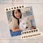 Joanne Yang Instagram - 蕎の不專業食記Part18 這次來到台中超有名的寵物友善餐廳 毛五木Momori～ 裡面有好幾隻店狗值班～ 進去點餐可以跟店員說要抽號碼牌看狗狗， 一次有10分鐘的時間， 想看還可以再抽號碼牌喔～ 食物以外還不錯吃～ 薯條搭配松露醬很讚！ 推薦給喜歡狗狗的你們～ 也可以帶自家的毛寶貝一起來喔！ #蕎の不專業食記 #台中 #寵物友善餐廳 #毛五木 #momori