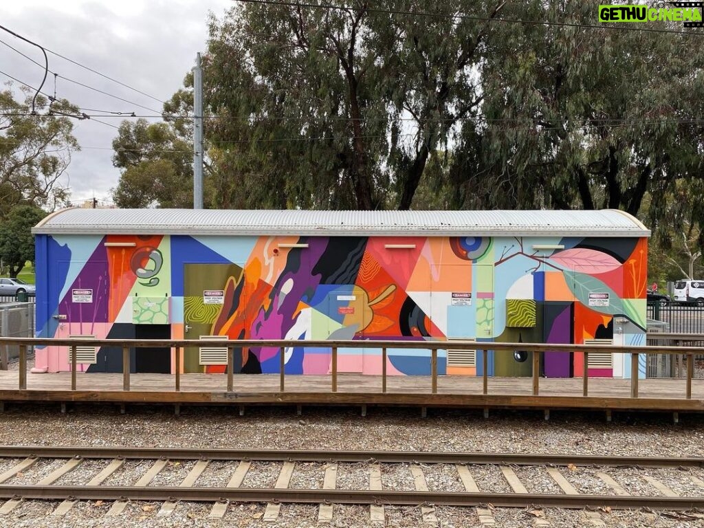 Joel Van Moore Instagram - Bringing some colour and inspiration from nature on this one from early in the year. #vanstheomega #adelaidestreetart #streetartnews #tmdees Adelaide, South Australia