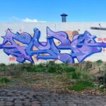 Joel Van Moore Instagram – My crew members from TMD have all continued to bring heat to the update of #3by4project 

Here is the 3 latest hams from @haser_nz @askewone and @fluro_rock 

Stay tuned for more coming soon

@bombingsci Auckland, New Zealand