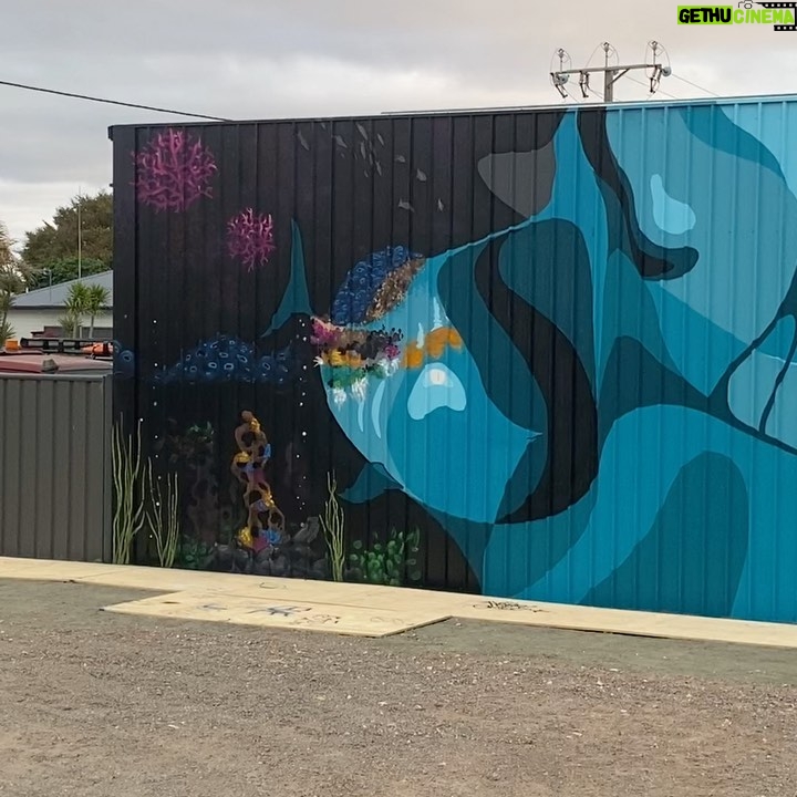 Joel Van Moore Instagram - I had an absolute blast painting my dear friend @jelenanelej for @colourtumbystreetart a week ago and miss all the local crew and artists a lot. Thanks to @juddyroller for the invite. The moody pics are from Harry the gun photographer @lightbulbphotography #vanstheomega #freehand Tumby Bay, South Australia