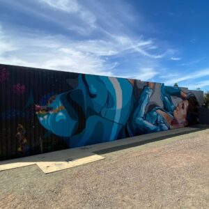 Joel Van Moore Instagram - I had an absolute blast painting my dear friend @jelenanelej for @colourtumbystreetart a week ago and miss all the local crew and artists a lot.

Thanks to @juddyroller for the invite.

The moody pics are from Harry the gun photographer @lightbulbphotography 

#vanstheomega #freehand