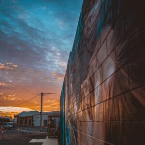 Joel Van Moore Instagram - I had an absolute blast painting my dear friend @jelenanelej for @colourtumbystreetart a week ago and miss all the local crew and artists a lot.

Thanks to @juddyroller for the invite.

The moody pics are from Harry the gun photographer @lightbulbphotography 

#vanstheomega #freehand