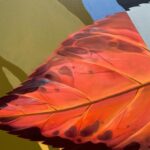 Joel Van Moore Instagram - Bringing some colour and inspiration from nature on this one from early in the year. #vanstheomega #adelaidestreetart #streetartnews #tmdees Adelaide, South Australia