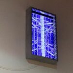 Joel Van Moore Instagram – Light beyond the window breaks pt 2 featuring during @illuminateadelaide 

Stag Lane Rundle St.

It’s been a real journey transitioning into installation work and leaning into the creative dreams I have to seed into this world.

My automated mechanical Louvre features 3 animations.

1. A collab with @jasonsimsart @dave.court 

2. A look into @producedbytrials studio practice

3. A dimensional being looking to enter our world.

#vanstheomega The Stag Public House