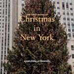 John Colaneri Instagram - #christmas2024 #nycchristmas New York, New York