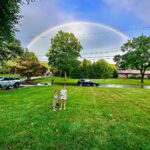 John Colaneri Instagram - #rainbow ❤️❤️