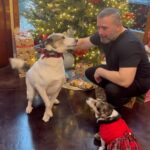 John Dolmayan Instagram - Merry Christmas 🎄 Love Emma, Maya, Liam 👧👧🧒 Charlie, Lola and Lily 🐶🐶🐶