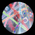 John Dolmayan Instagram - Having a lot of fun working on these cymbals, here’s the latest !