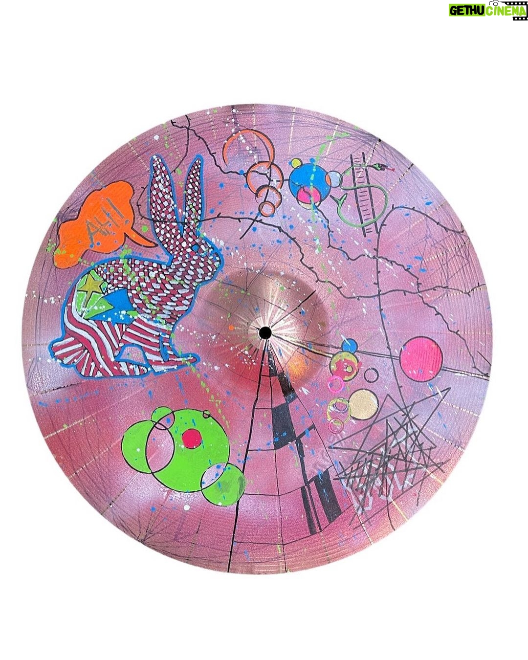 John Dolmayan Instagram - A very special piece made for our fundraiser.If you’re interesting in this custom cymbal painted and signed by John, please contact us as we will be taking live bids from now until the date of our fundraiser which is on 03/12/23. Aid for Strays in a registered non profit so your purchase and donations are a 100% tax deductible Ascentia Beauty Spa