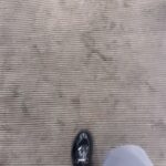 John Hill Instagram - Jadore @josephashepherd listen to todays show on demand @siriusxm @radioandyinsta also butt explosion and shoe trying Los Angeles, California