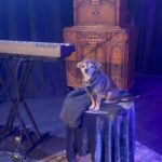 John Hill Instagram - Thanks for having me @dynastytypewriter ! Come see me in NYC 1/18 and Chicago 1/20. Thanks to everyone who came :)