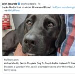 John Iadarola Instagram - I love that damn film 😭 🐕‍🦺🐕😼