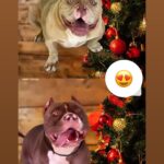 Jojo Todynho Instagram - 🎅🏾✨