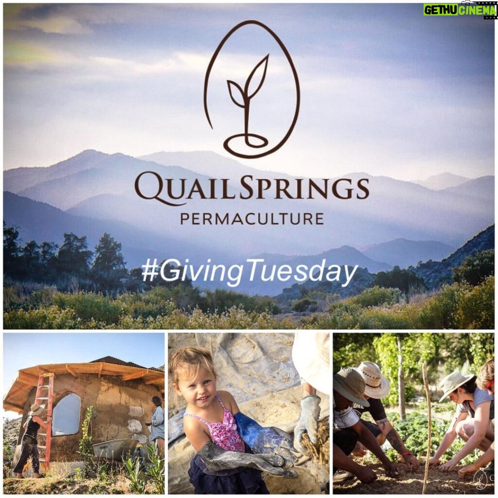 Jon Lajoie Instagram - Hey Friends, on this #GivingTuesday consider donating to @quail_springs , a non-profit who's mission it is to advance ecological and social health by empowering students of all ages and backgrounds with knowledge, skills and inspiration. They're beautiful badasses. Patagonia will match your donations! Link in my bio
