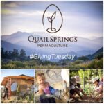Jon Lajoie Instagram – Hey Friends, on this #GivingTuesday consider donating to @quail_springs , a non-profit who’s mission it is to advance ecological and social health by empowering students of all ages and backgrounds with knowledge, skills and inspiration. They’re beautiful badasses. Patagonia will match your donations! Link in my bio