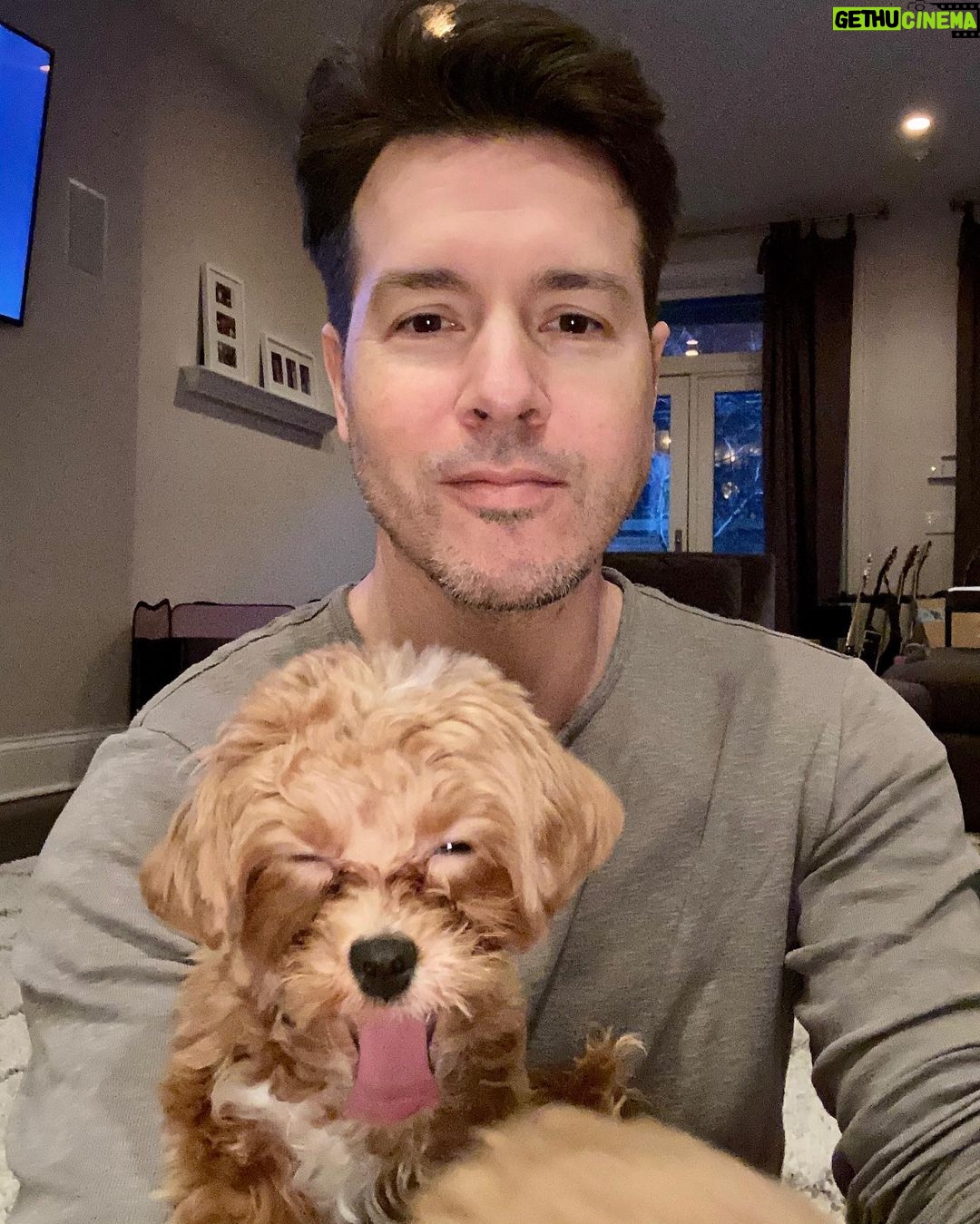 Jon Seda - 43.9K Likes - She completes me… #nationaldogday #fun #fyp #happy #maltipoo #onechicago #love #instalike #instagood
