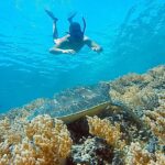 Jonathan Zidane Instagram - Pour avancer dans la vie, faut faire comme la tortue, sur terre elle avance pas mais dans la mer elle va vite de l’avant. Trouve la ou tu est plus fort et fonce 💪☝️ Gili Trawangan Lombok