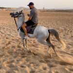 Jonathan Zidane Instagram - Liberta 🐎 @hurghada_dream ❤️ Hurghada, Egypt