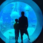 Jordan Chan Instagram -