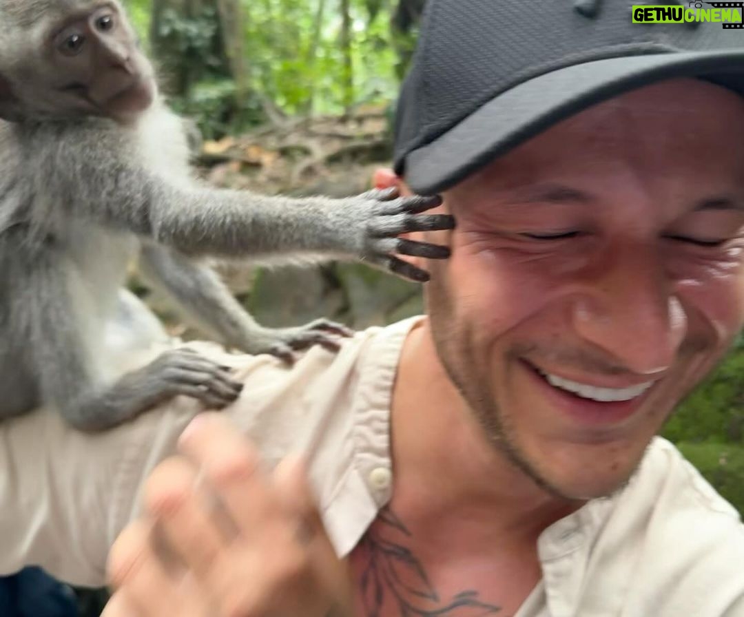 Jordan Haj - 4.7K Likes - V dávné řeči platformy Facebook, kde spolu kdysi jedinci druhu sapiens na krátký okamžik historie přebývali, by byl označen vztah našich dvou opic se svými vzdálenými bratranci jako “its complcated”