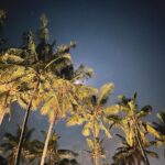 Jordan Haj Instagram - 📷1+2 -Vinohrady Czech Republic(1.1.24) 🛫~24h~🛬 📷3+4 -Cemagi Bali Indonesia(2.1.24)