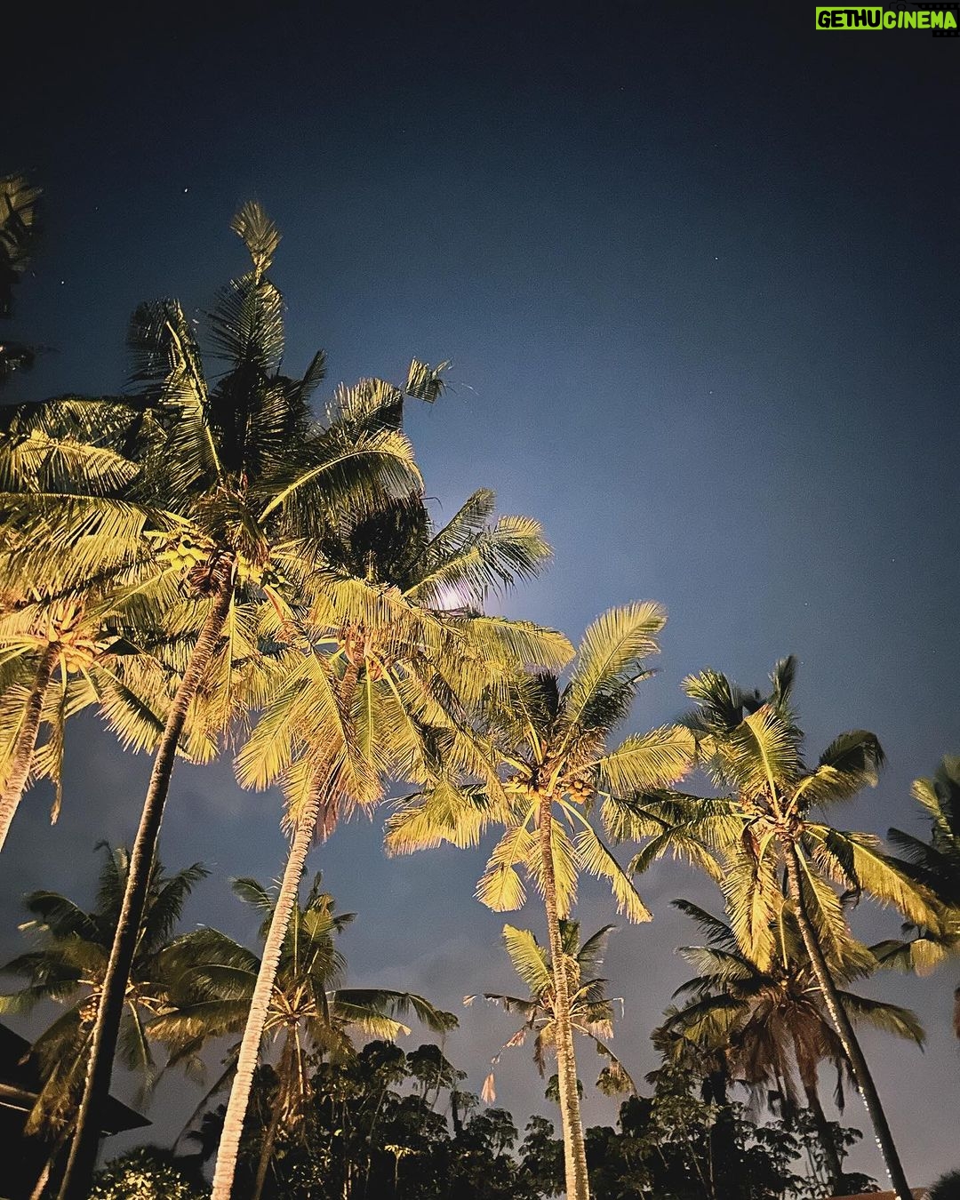 Jordan Haj Instagram - 📷1+2 -Vinohrady Czech Republic(1.1.24) 🛫~24h~🛬 📷3+4 -Cemagi Bali Indonesia(2.1.24)