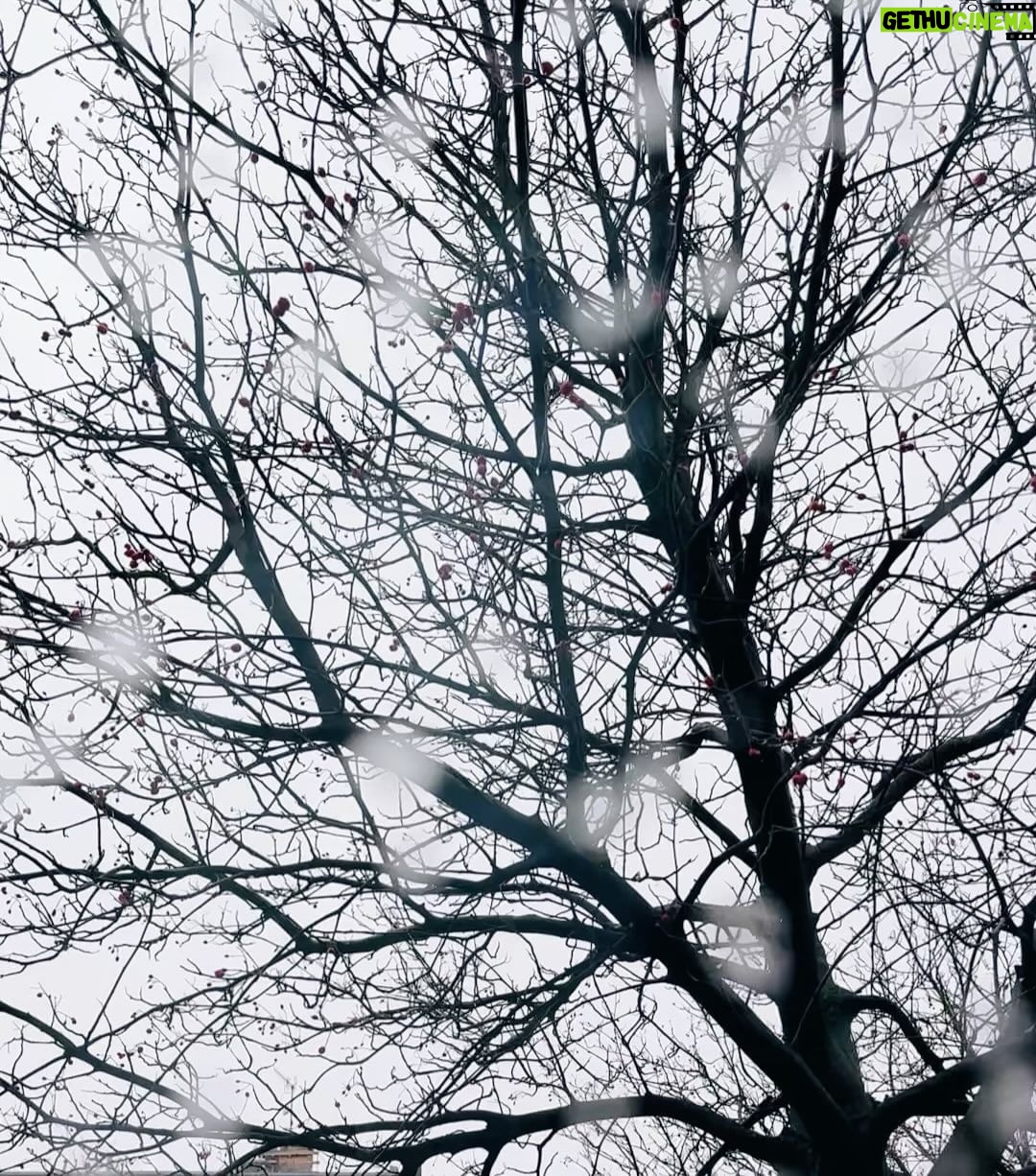 Jordan Haj Instagram - When the sky turns gray 🩶 Turn it blue 🩵