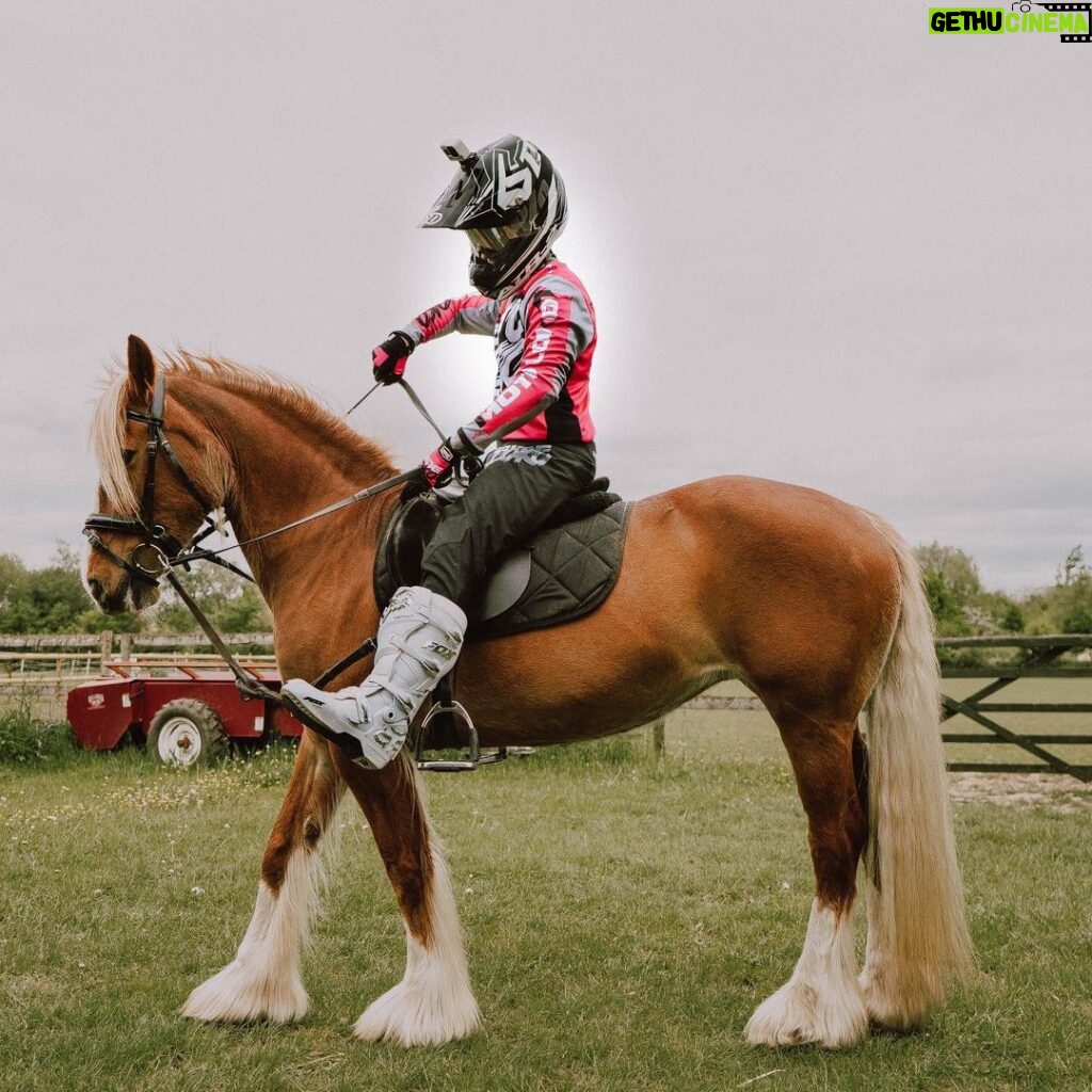Jordi Whitworth Instagram - Testing horsepower on the noble steed