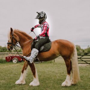 Jordi Whitworth Instagram - Testing horsepower on the noble steed