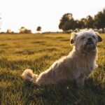 Jordi Whitworth Instagram – FiFi