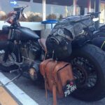 José Fidalgo Instagram - E aqui mostro a minha primeira transformação da minha segunda menina. De uma Heritage já por si transformada. @srcustommotorcyclegarage foi o seu criador. #harleydavidsonheritagesoftail #custommade #customstories #zelafproducoes