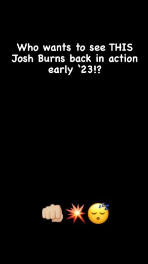 Josh Burns Instagram - 