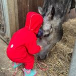 Judith Rakers Instagram - Ich hab ein Pferdemädchen zum Patenkind. Was bin ich froh!!! Wenn sie größer ist, galoppiere ich mit ihr wild über die Stoppelfelder, picknicke mit ihr im Stroh und lache mit ihr über die Pferdeschnute, die gerade Kohlensäuresprudel gespürt hat. Meine kleine, süße E. - du bist das tollste, kleine Pferdemädchen der Welt. Love you a lot (und deine Mama auch - und deinen Papa, der immer über Mädchenkram am Stall geschimpft hat und jetzt selbst rosa Bürsten kauft 😂 ) #grosseLiebe #Patenkind #Pferdemädchen #foreverlove