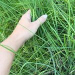 Judith Rakers Instagram - Es gibt bei mir viel ungeeignetere Garten-Outfits als die weissen Sneaker gestern 😂 #homefarming #neonFingerstattgrünerDaumen #funktionierttrotzdem😄